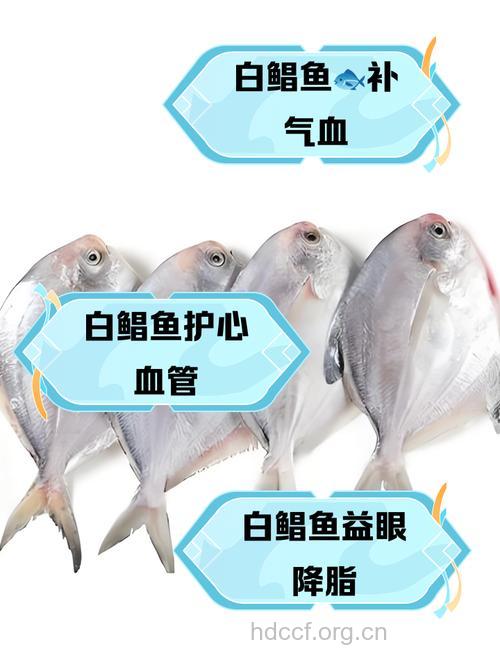 鲳鱼的功效与作用