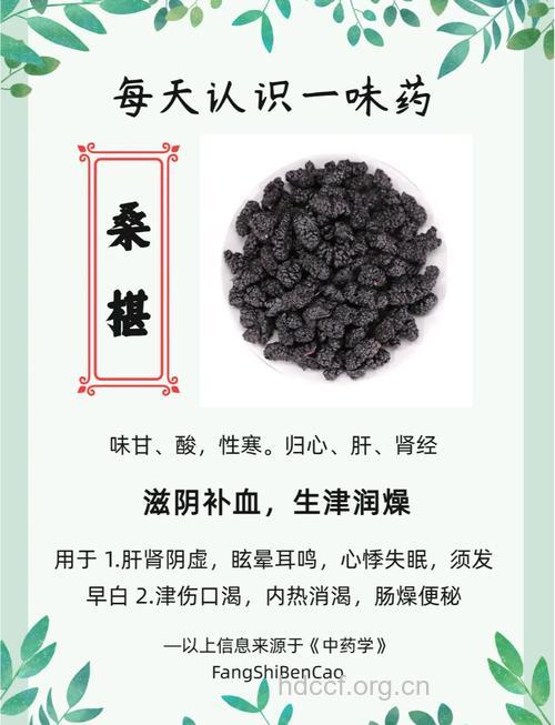 桑椹子的功效与作用