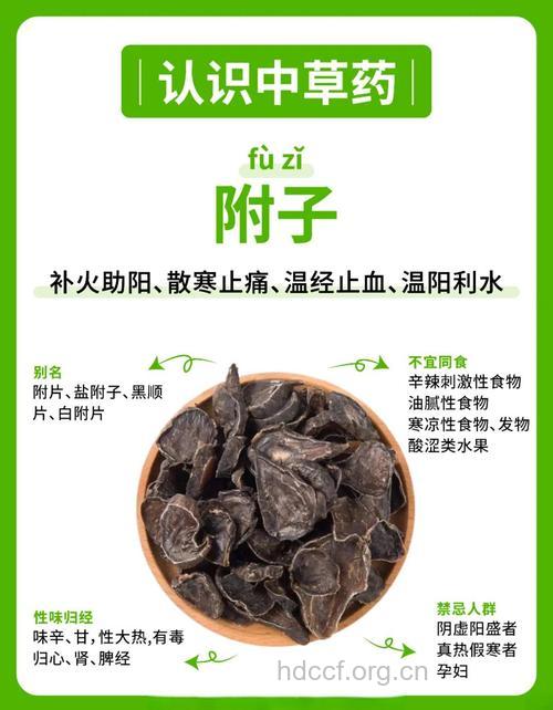 附子的功效与作用