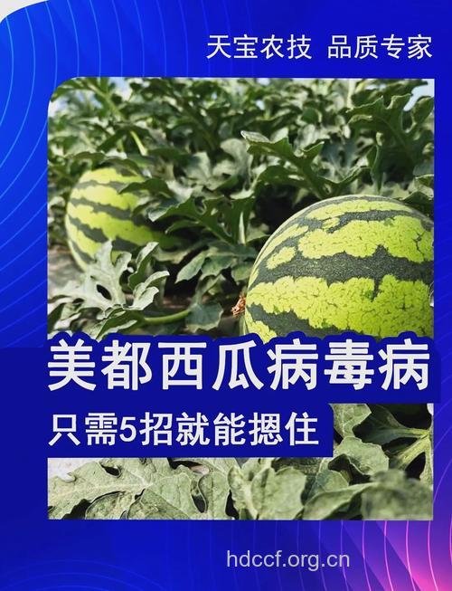 西瓜可以防病抗癌