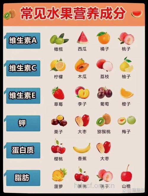 补充维生素吃什么水果