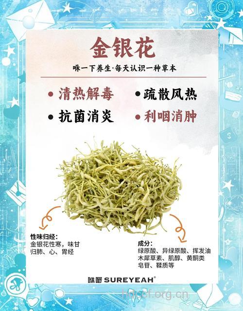 银花的功效与作用