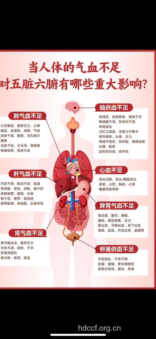 3个原因最易引发气血不足
