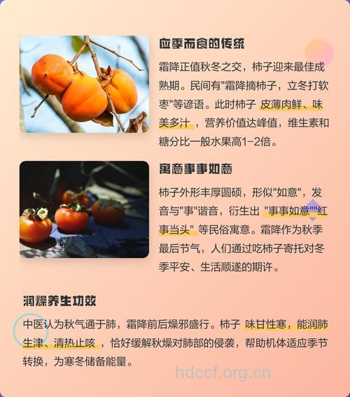 霜降为什么要吃柿子呢