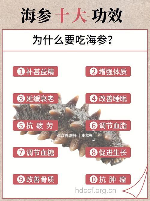 海参的功效与作用