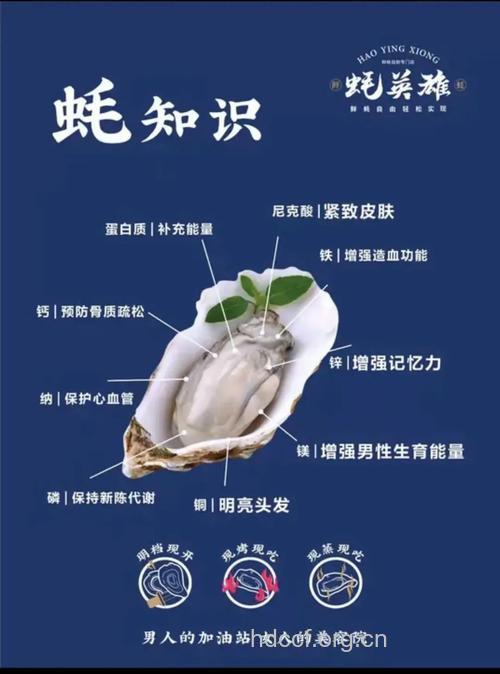 牡蛎有有哪些营养价值