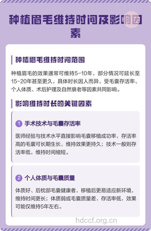 眉毛种植最佳时期是什么时候