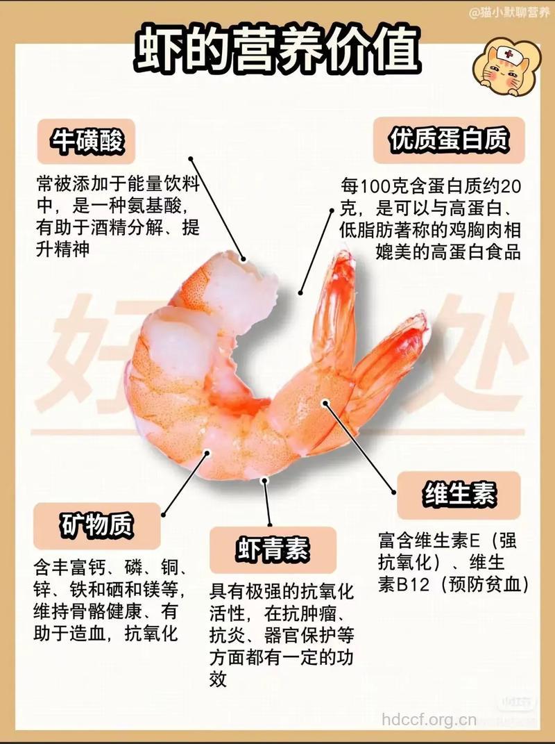 虾的营养价值