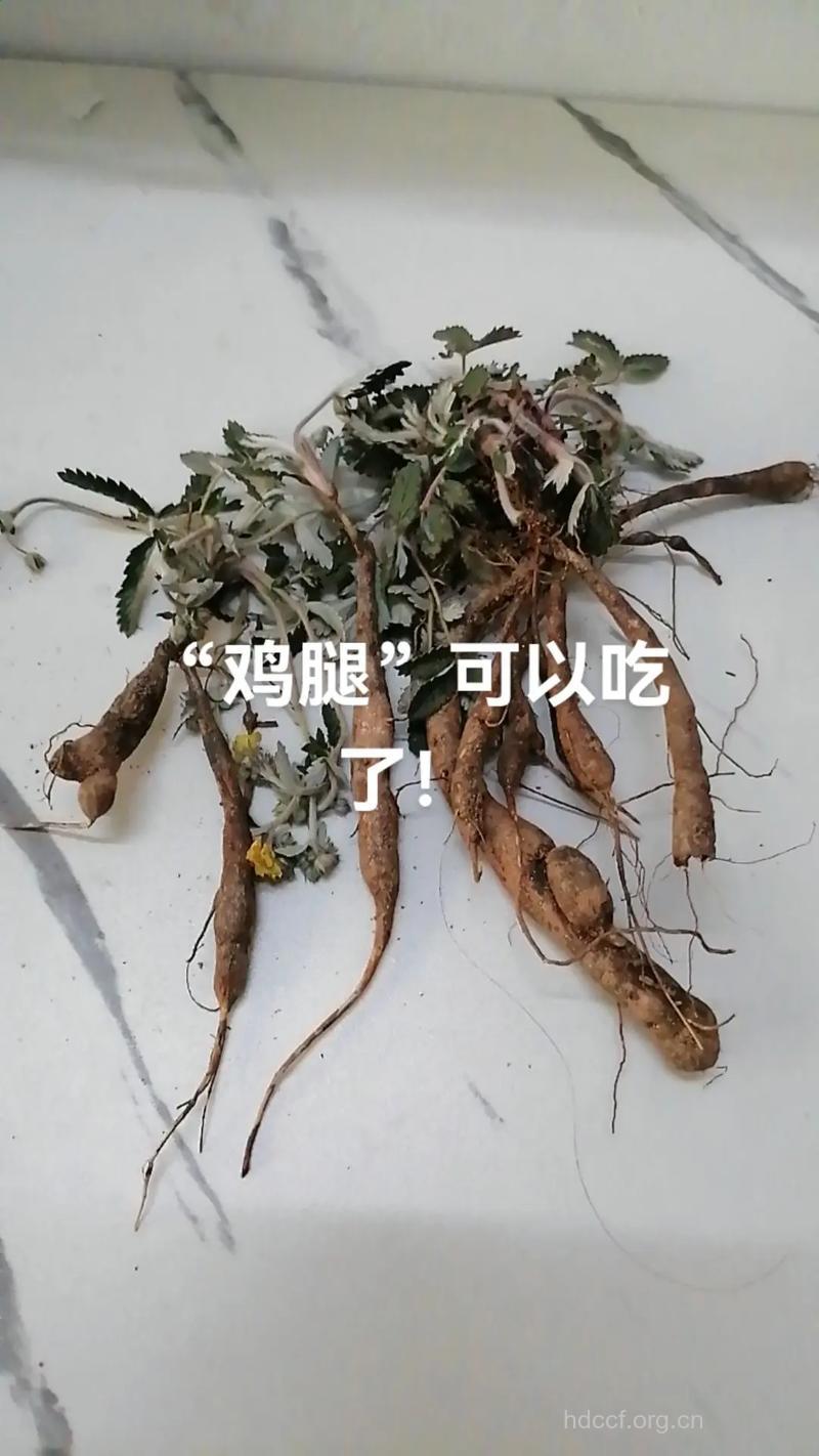 鸡腿的功效与作用