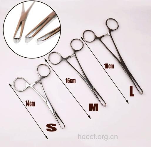 什么是组织代用品