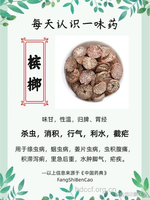 焦槟榔的功效与作用