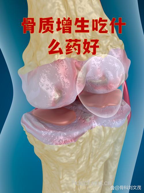 老人骨质增生吃什么好