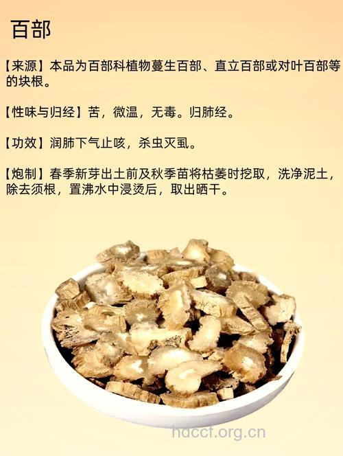 百部的营养价值