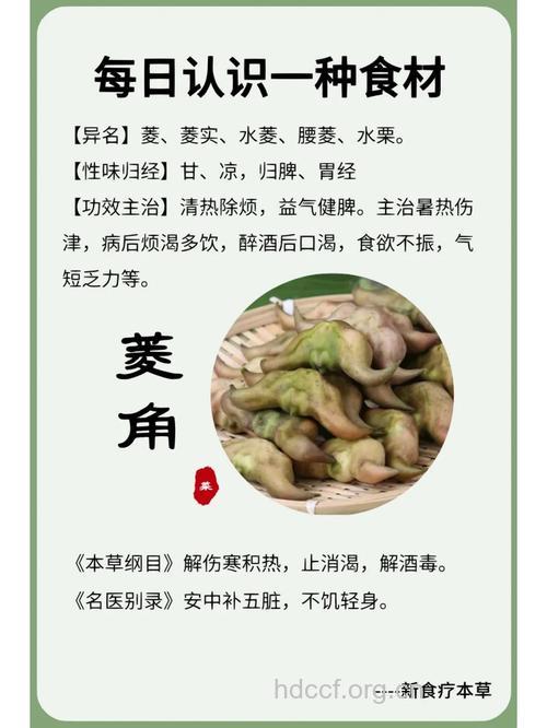 菱角的功效与作用