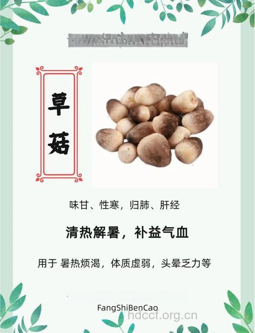 草菇的功效与作用