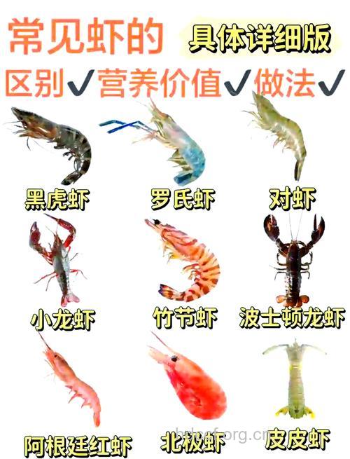虾的功效与作用