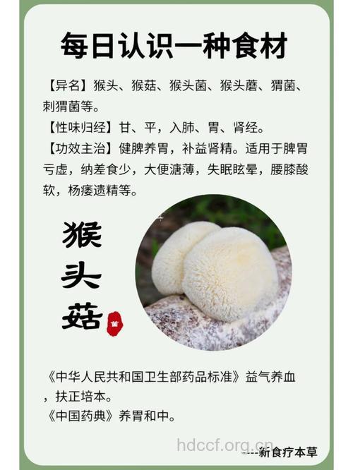 猴头菇的功效与作用