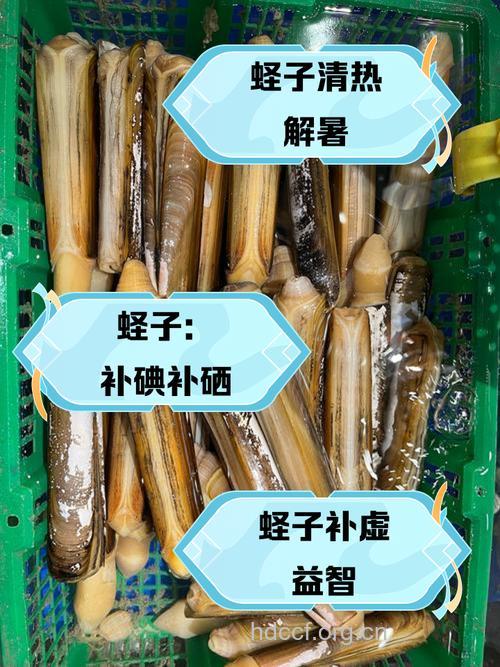 蛏子的功效与作用