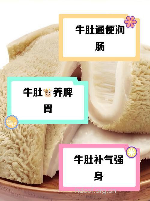 吃牛肚有什么好处