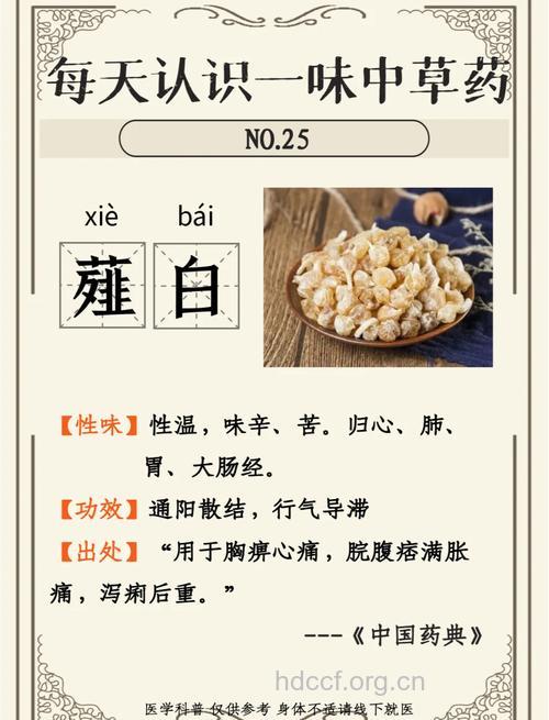 薤白的功效与作用