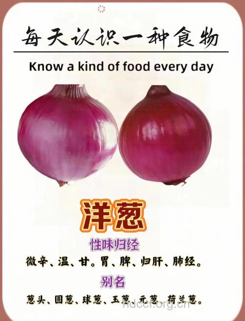 洋葱的功效与作用