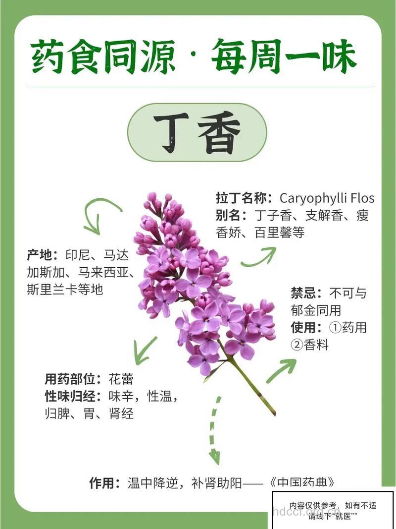 丁香的营养价值