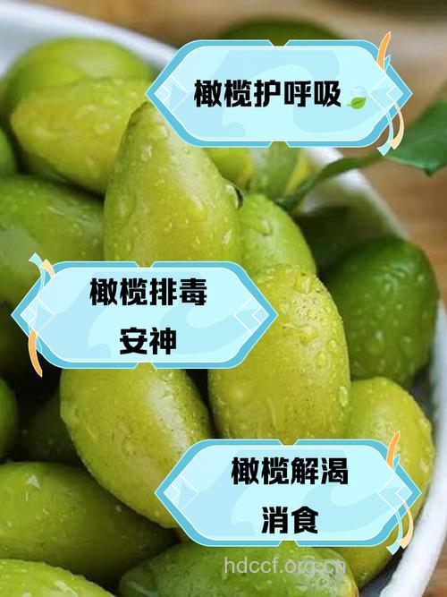 橄榄的功效与作用