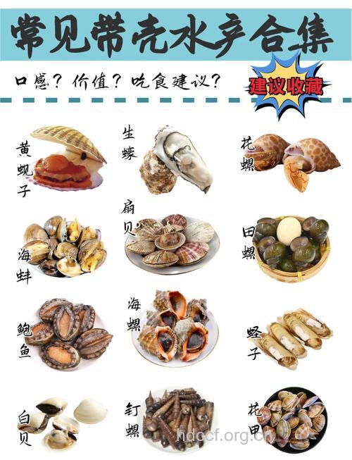 十大海鲜分别有啥营养