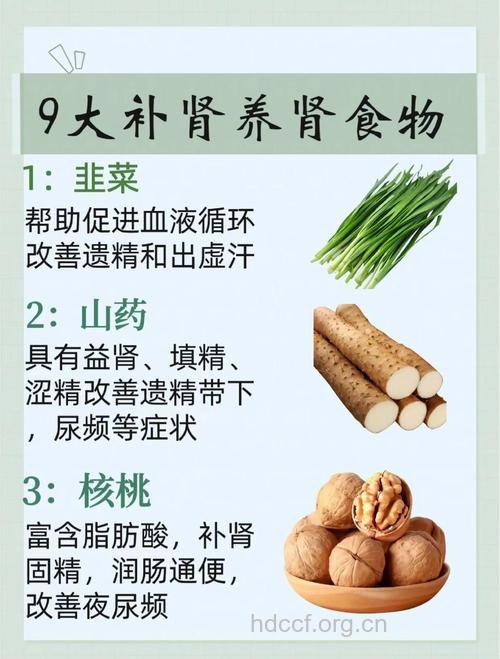 保护肾脏的九种食物