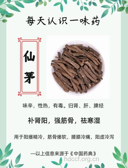 吃仙茅有什么好处