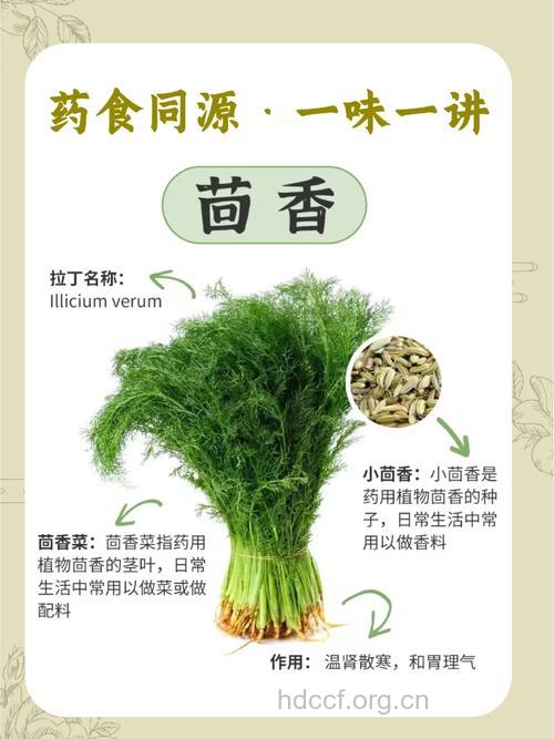 茴香的功效与作用