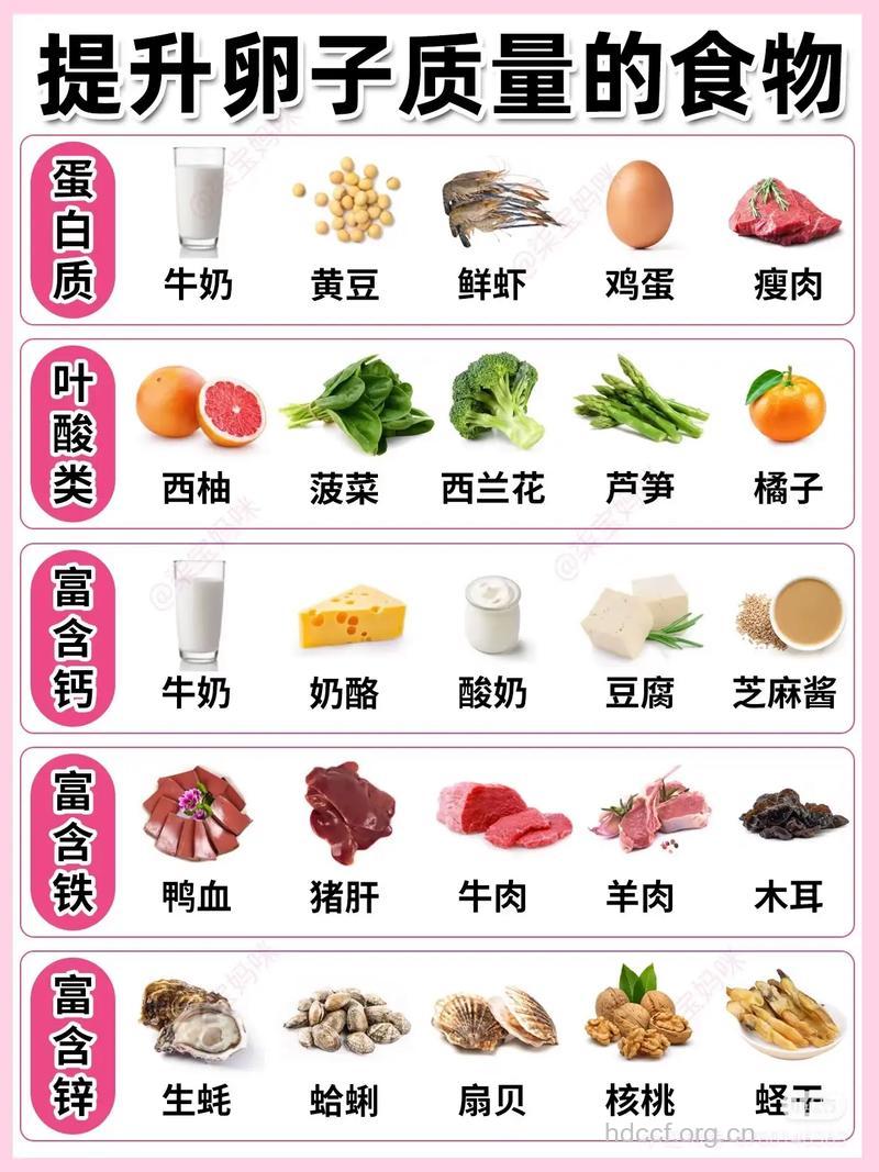 备孕吃什么 推荐3类食物