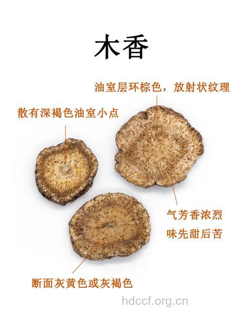 木香的功效与作用