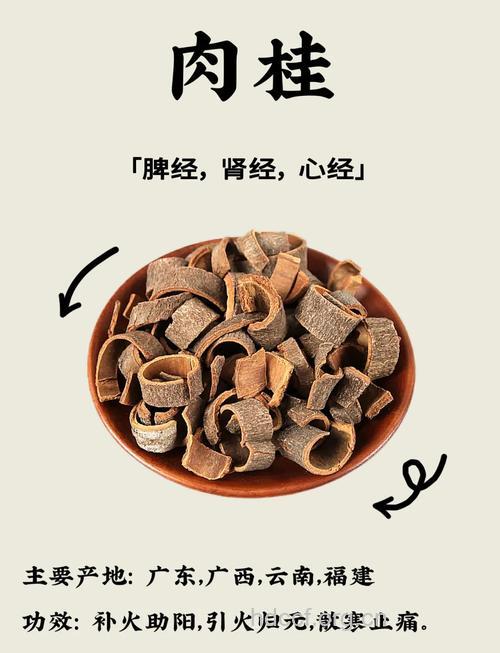 肉桂的功效与作用