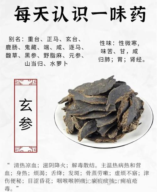 玄参_玄参的功效与作用