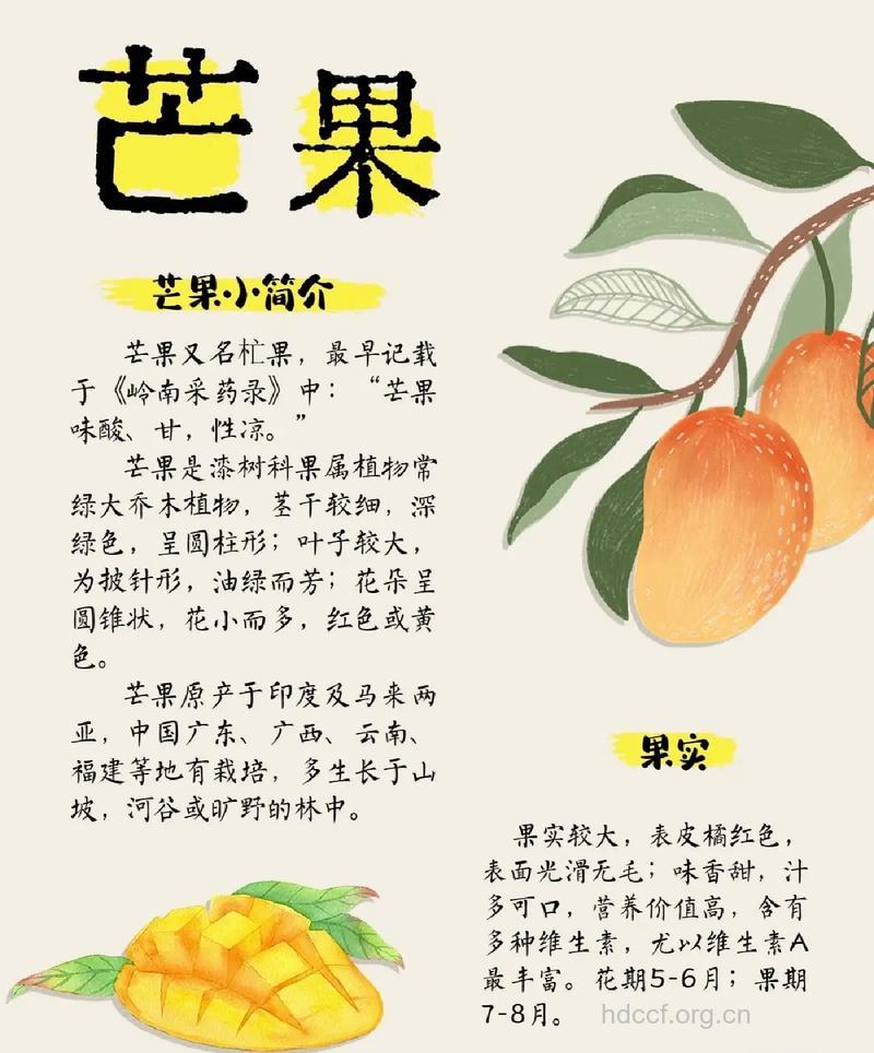 芒果功效与作用