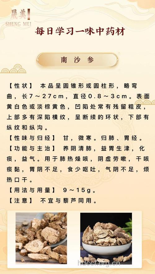 南沙参的功效与作用