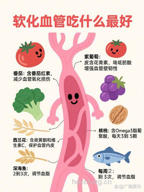 有助于软化血管的食物
