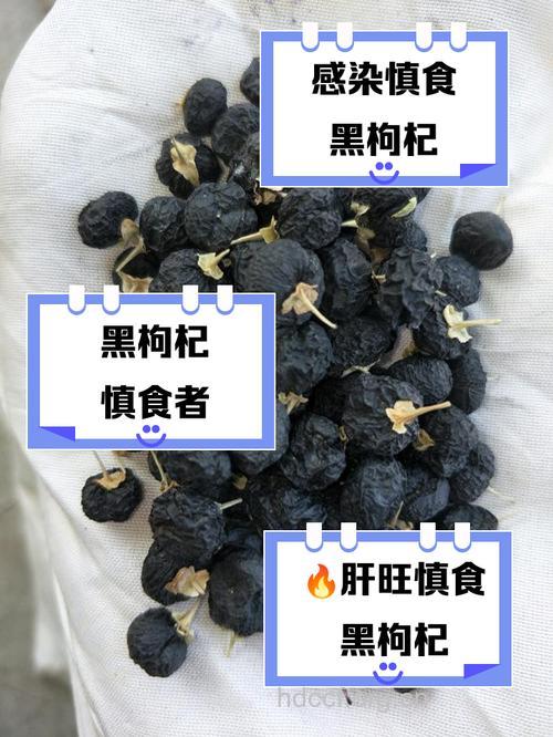 哪些人不适合吃黑枸杞