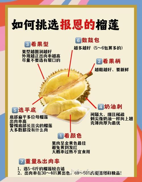 榴莲的挑选和营养价值
