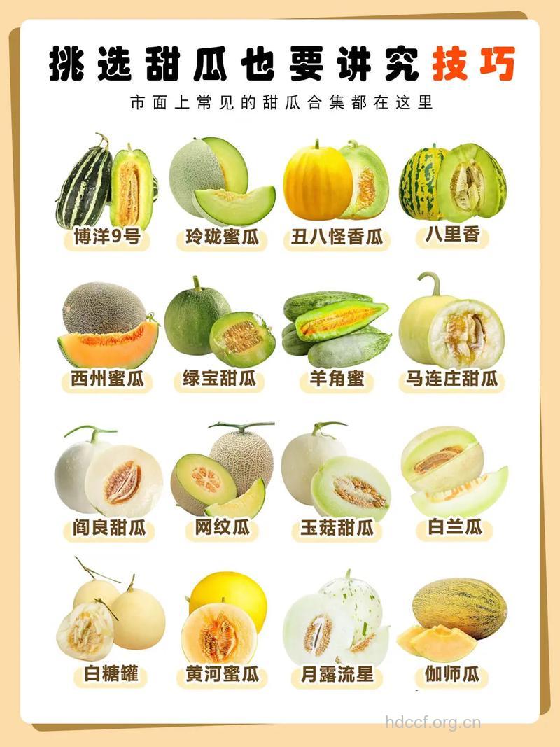 如何挑选香瓜？