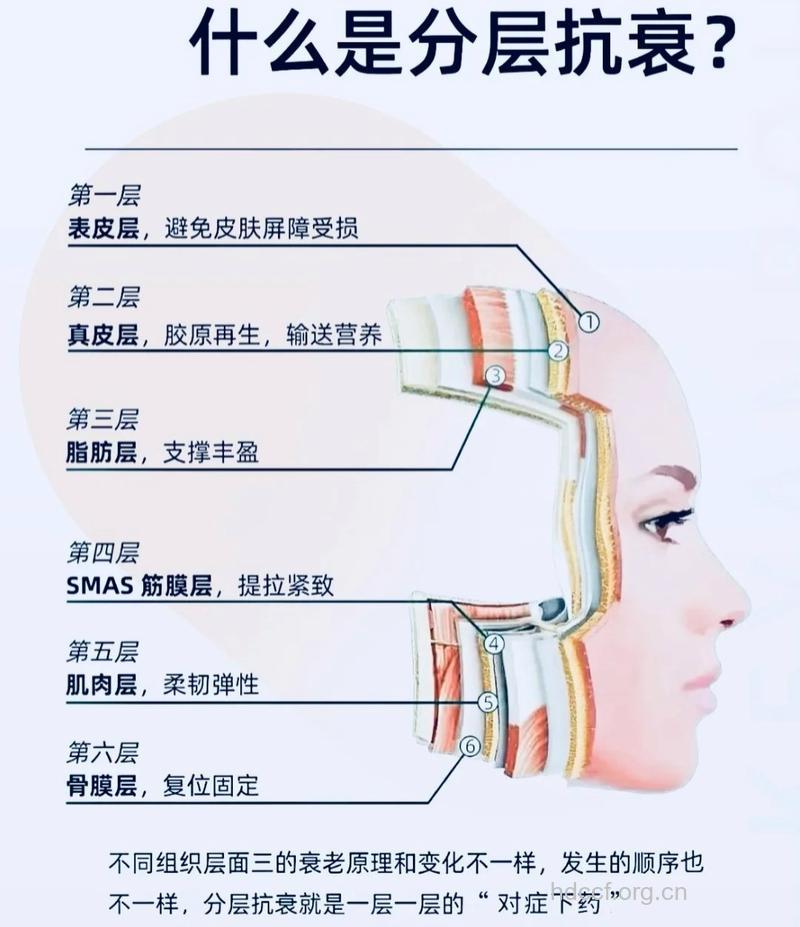 哪些手术方法可对抗衰老