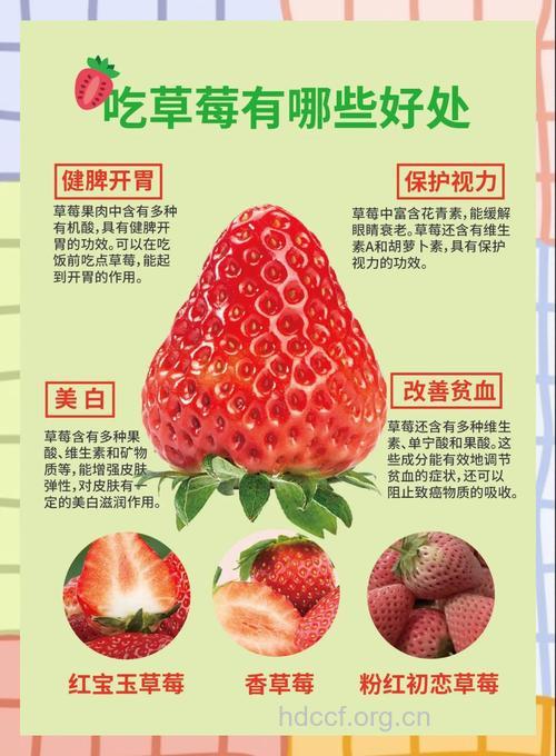 草莓的营养价值和清洗方法