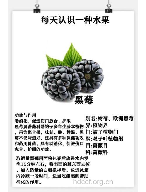 黑莓有哪些功效
