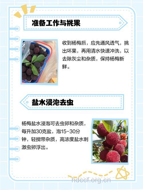 杨梅要如何挑选清洗