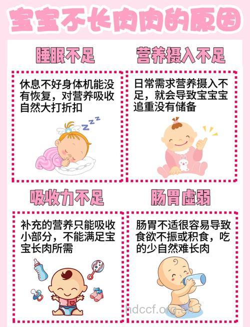 孩子特别的不喜欢吃肉怎么办