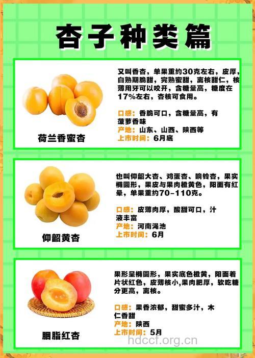 熟知杏仁的五大功效和作用