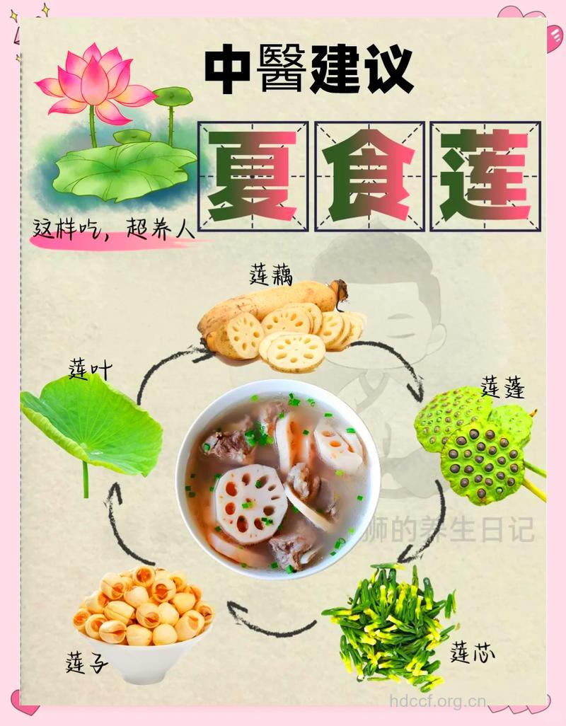 盛夏养生多吃荷塘三宝