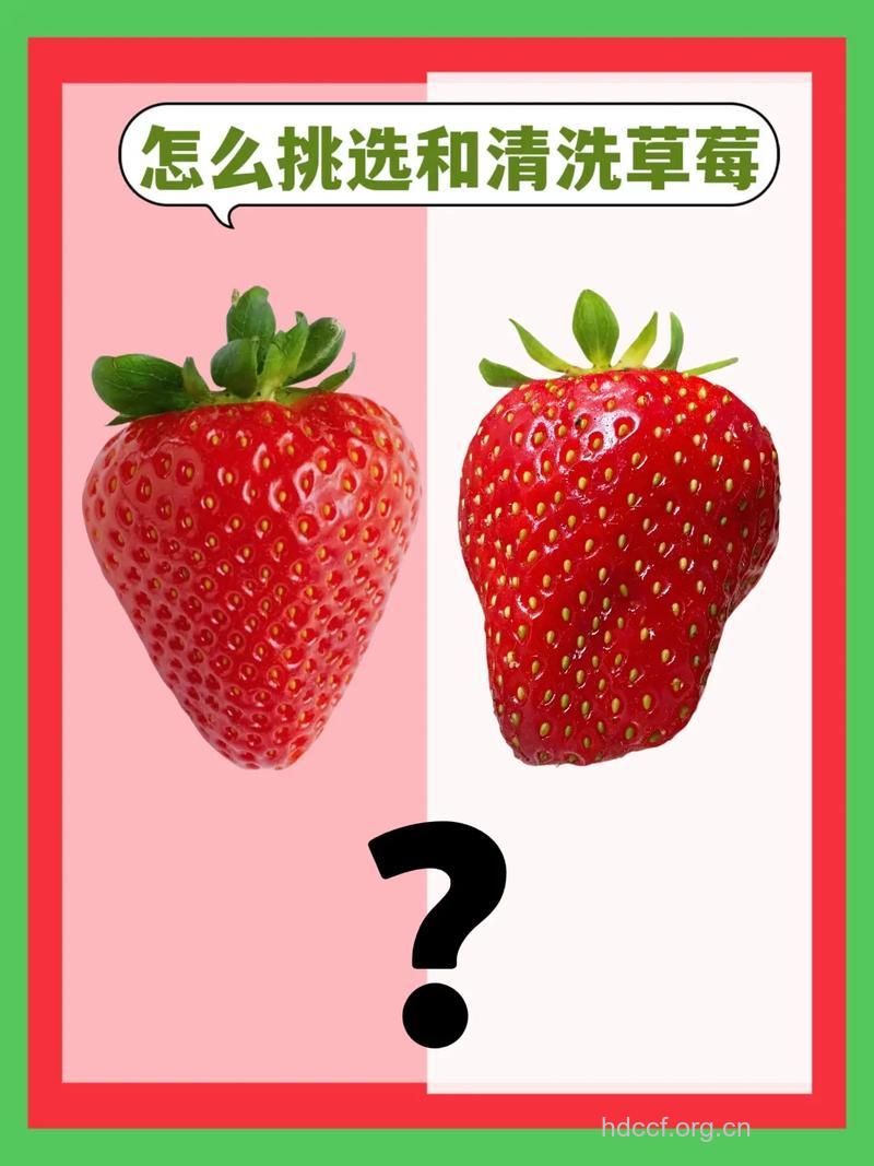 如何挑选清洗草莓