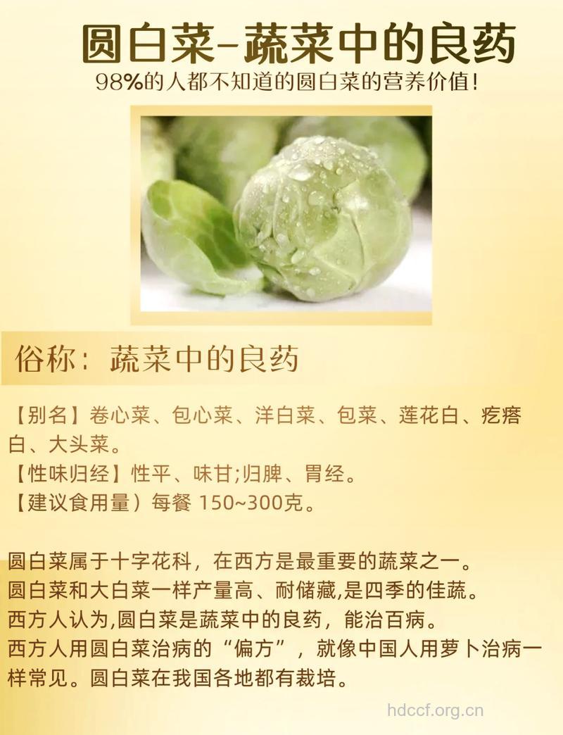 圆白菜的7大食疗保健作用